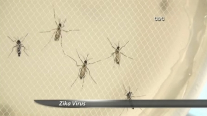 Virginia traveler tests positive for Zika virus