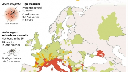 Brazil Zika Cases Raise Concern Of Virus Transmission Beyond Mosquitoes