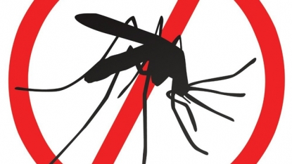 Pregnant woman found with Zika in Spain