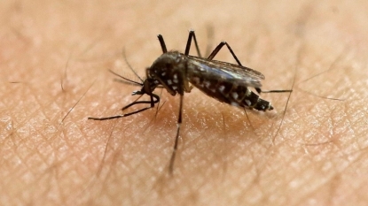 Officials confirm first case of Zika virus in Sask.