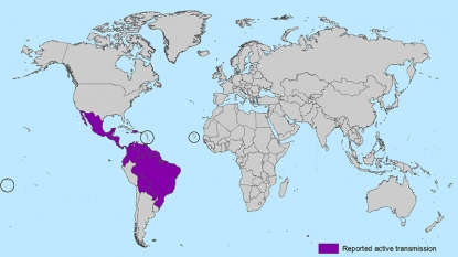 2 more cases of Zika reported in Florida; 1 in Osceola