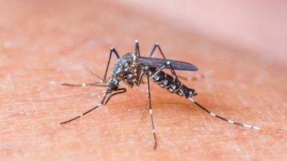 OR confirms first Zika case of 2016