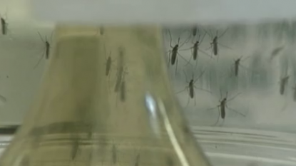 Gov. Rick Scott declares Zika emergency in 4 counties