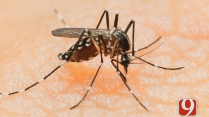 First Sexually Transmitted Zika Virus Case Reported in Dallas