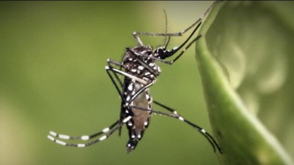 First case of Zika virus confirmed in Tennessee