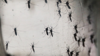 ME health officials report state’s 1st Zika case