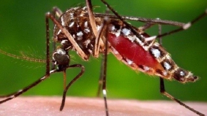 Health department confirms 3 Zika cases in DC