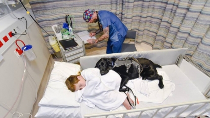 Loyal dog won’t leave autistic boy’s side at hospital