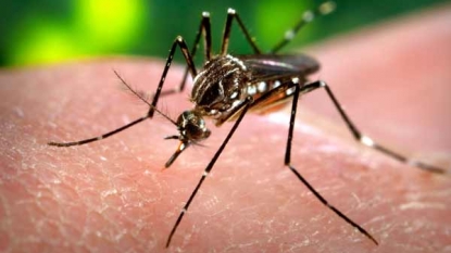 Maryland sees first case of Zika virus