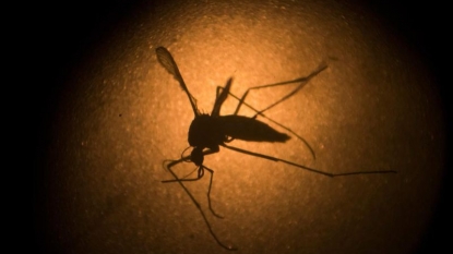 Officials confirm first case of Zika virus in Maryland