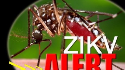 World Health Organization launches anti-Zika research campaign