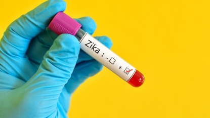 Risk of Zika virus infection spreading in Europe extremely low