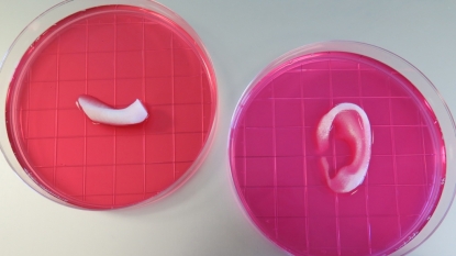 Scientists prove possibility of ‘printing’ replacement tissue