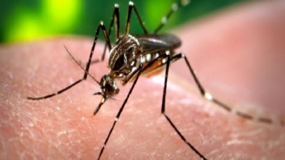 South Africa confirms first case of Zika virus