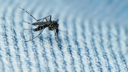 Pregnant woman is second Zika case in Los Angeles County