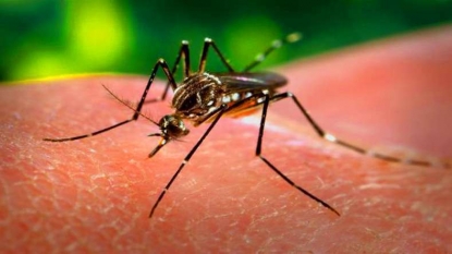 Texas reports case of sexually transmitted Zika virus