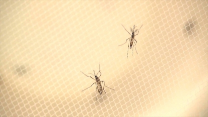 Zika Virus confirmed in Nebraska