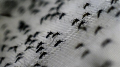 Health official: Zika blood tests pending for several patients in Pennsylvania