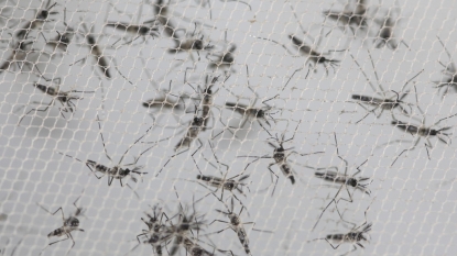 Three people in Columbia have died due to the Zika virus