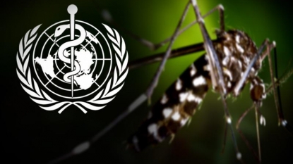 WHO says will know if Zika causes microcephaly in weeks