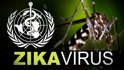 World health body alarmed over spread of Zika through sex