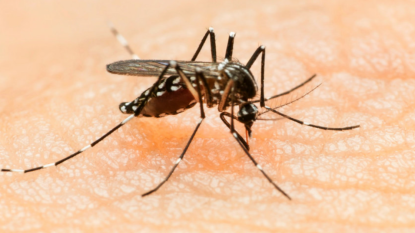 Zika virus: Health department confirms 3 cases in D.C.