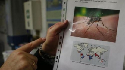 Zika infections confirmed in 9 pregnant women in US — CDC