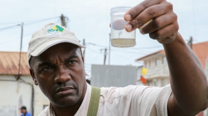 Cuba Reports First Case of Zika Transmitted In the Country