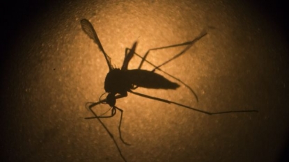 CDC issues Zika virus travel notice for Cuba