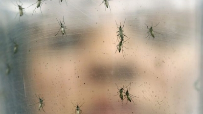 CDC issues a Cuba travel warning over the Zika virus