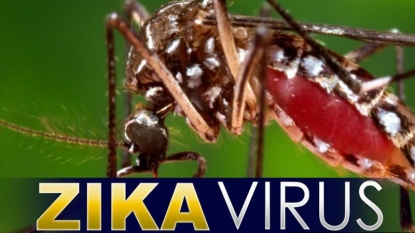 First case of Zika virus confirmed in CT