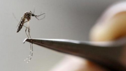 Missouri man has state’s first case of Zika virus