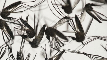 New York expands Zika Virus testing