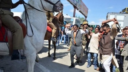 Horse could have its leg amputated after being ‘assaulted by a politician’