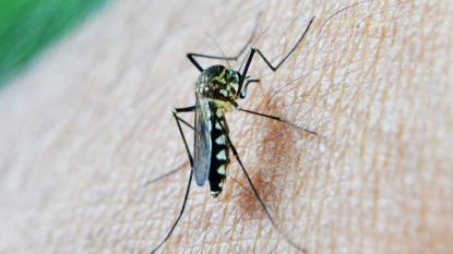 Province warns of possible case of sexually transmitted Zika