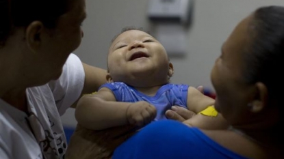 Studies strengthen link between Zika virus, birth defects