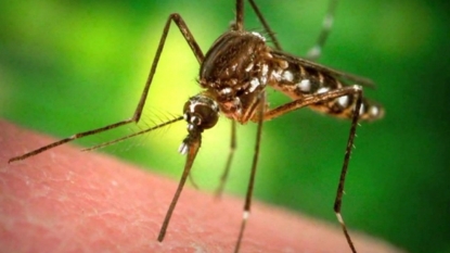 Missouri has first known case of Zika virus