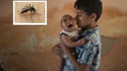 World Health Organization begs for $4 mln to prepare for millions of Zika cases