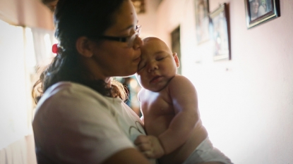 Zika damages cells forming the brain, study shows