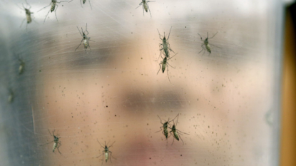 Another Zika Case In Missouri