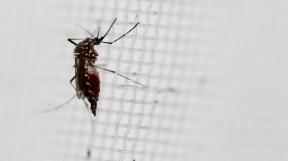 Two new cases of Zika virus reported in South Florida