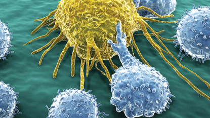 Collaborative institute aims to speed cancer drug creation