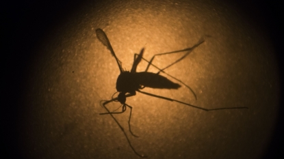 Canada Has Confirmed Its First Case of a Sexually-Transmitted Zika Virus