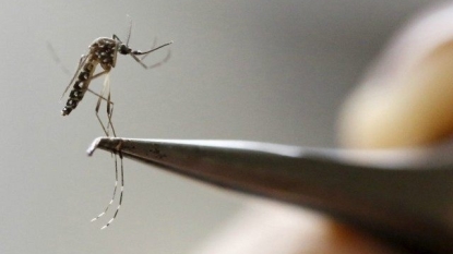 White House to Draw on Ebola Funds to Fight Zika Virus