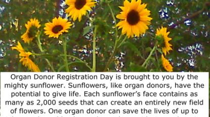 Gratitude and organ donors