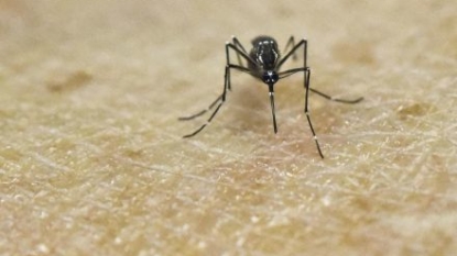 Still many questions about Zika’s threat to pregnant women