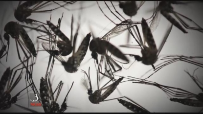 Top US health officials gather for Zika ‘action plan’ summit