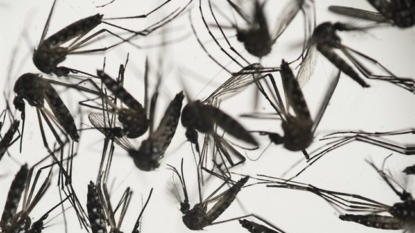 2nd Connecticut resident diagnosed with Zika virus