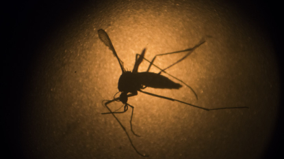 3rd case of Zika virus reported in Mississippi