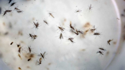 After 3 months, Congress ready to act on Obama’s Zika call